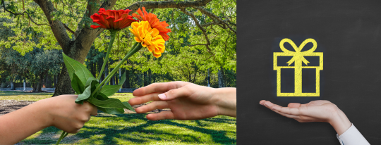 An image of two people exchanging flowers next to a graphic of a wrapped up present.