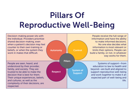 The four pillars are autonomy, control, respect, and system of support. Each is connected and has a definition next to it.